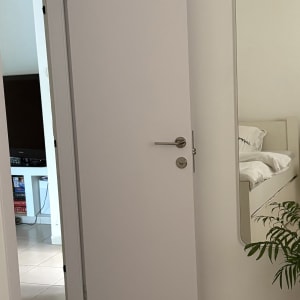 דלת לבנה פתוחה עם ידית מתכת