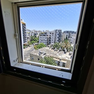 חלון עם רשת נגד יונים ונוף עירוני