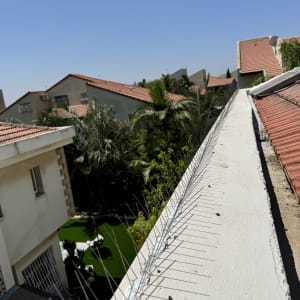 דוקרנים על גג למניעת ציפורים