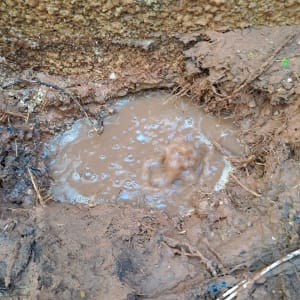 מים בוציים זורמים מתוך האדמה