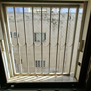 חלון עם סורג ורשת נגד יונים