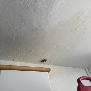 תיקון תקרה עם סימני רטיבות ועבודה חלקית