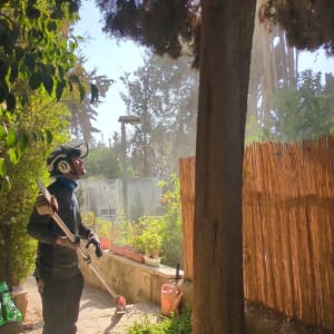 אדם עם ציוד גיזום ליד עץ בגינה
