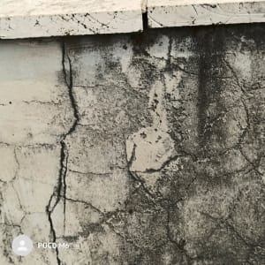 סדקים וסימני רטיבות ועובש בקיר מבנה מתחת לסף אבן