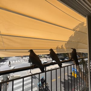 סוכך בד צהוב עם צל על מעקה מרפסת