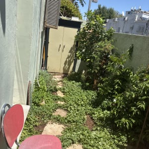 גינה קטנה עם צמחייה ושביל אבן