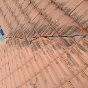 גג רעפים עם סימני בלאי ועובש