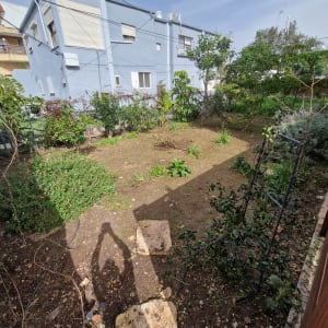 גינה עם צמחים ועצים ליד בניין מגורים