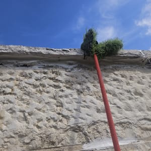 מברשת על מוט אדום מנקה קיר אבן