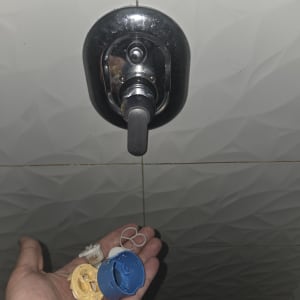 ברז מקלחת עם חלקי פלסטיק ביד