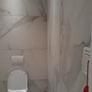 תא שירותים עם אסלה, לחצן הדחה ומחזיק נייר טואלט