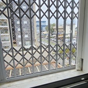 סורגי חלון עם נוף עירוני ברקע