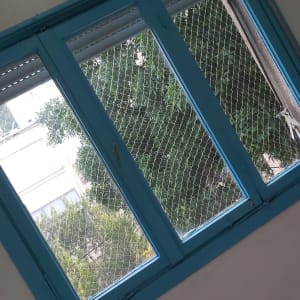 חלון עם רשת למניעת כניסת יונים
