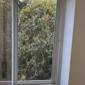 תמונה אינה מציגה עבודה בתחום