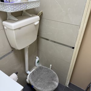 אסלה עם מכסה מרופד בחדר אמבטיה