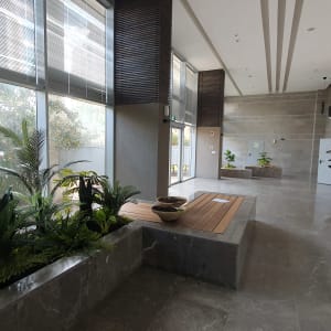 עציצים ירוקים על אדן חלון במבנה מודרני