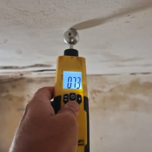 מדידת אחוזי לחות בקיר באמצעות מד לחות דיגיטלי במהלך בדיקת קונסטרוקטור