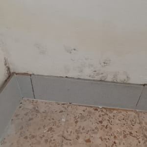 כתמי רטיבות ועובש על קיר פנימי