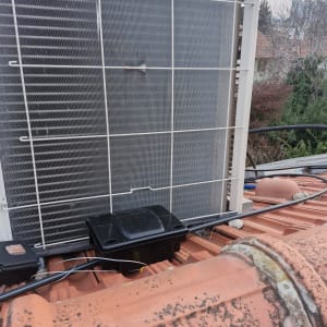 קופסת הדברה שחורה על גג רעפים