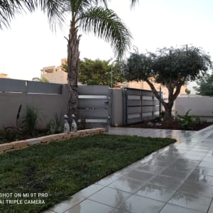 דשא ירוק, עצים וערוגת פרחים בגינה