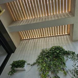 קורות עץ בתקרה עם צמח מטפס על קיר