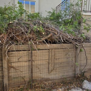 ערימת ענפים גזומים על גדר עץ