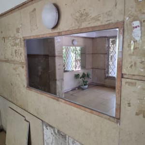 מראה על קיר בחדר עם צמח