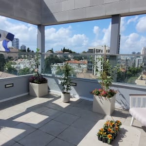 עציצים עם פרחים וצמחים במרפסת עירונית