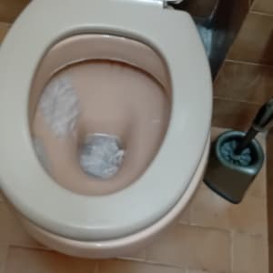 אסלה פתוחה עם מברשת ניקוי ליד.