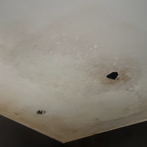 תקרת גבס עם חורים ונזקי רטיבות