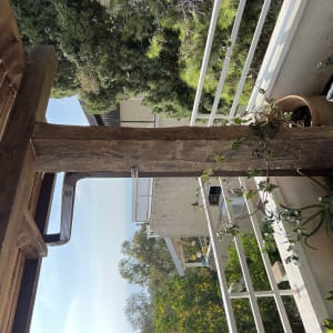 עמוד עץ עם צמח מטפס במרפסת