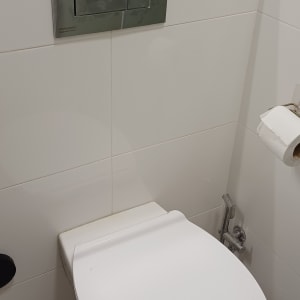 אסלה עם לחצן הדחה וקיר לבן
