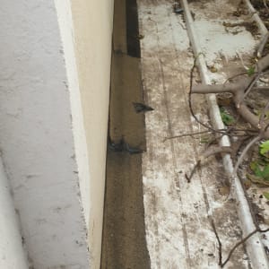 איטום גג עם יריעות ביטומניות שחורות