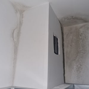 כתמי רטיבות ועובש על קיר פנימי