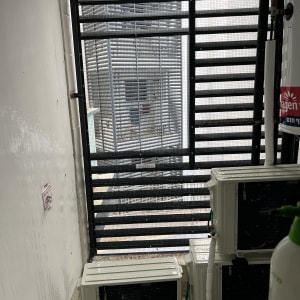 רשת למניעת כניסת יונים על חלון