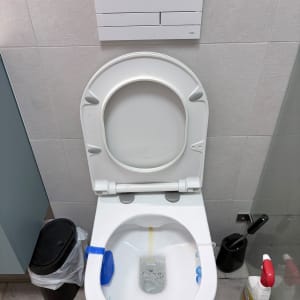 אסלה עם חומרי ניקוי בחדר אמבטיה