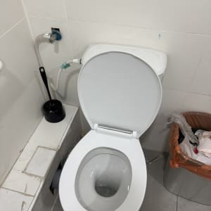 אסלה עם מברשת ניקוי וצינור מים