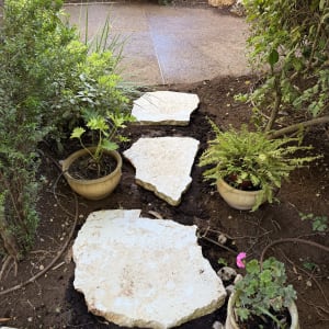 שביל אבנים בגינה עם צמחים מסביב