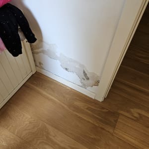 קיר עם סימני רטיבות והתקלפות צבע