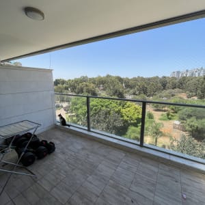 מרפסת עם רשת למניעת כניסת יונים