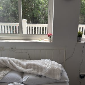 חדר שינה עם חלון, מיטה וצעצוע פנדה