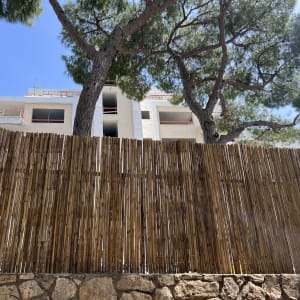 גדר עץ גבוהה עם עצים ברקע