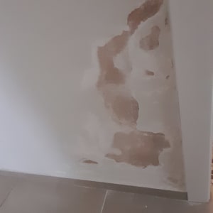 קיר עם קילופי צבע ותיקונים