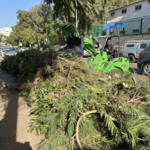 מכונה ירוקה גוזמת ענפים על מדרכה