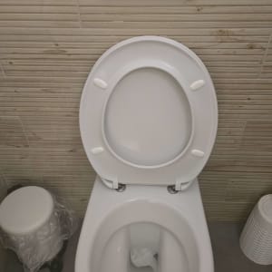 אסלה פתוחה עם לחצן הדחה על הקיר