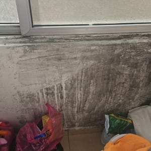 קיר עם עובש ליד חלון וסולם