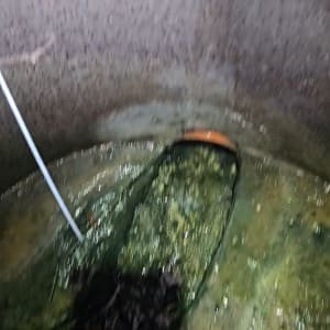 צינור ביוב עם מים עומדים