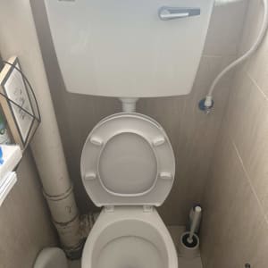 אסלה ומיכל הדחה בחדר שירותים