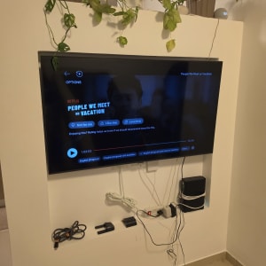 טלוויזיה מותקנת על קיר עם צמחים מעל