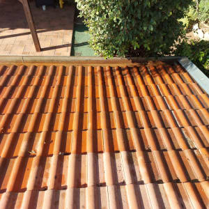 רעפים כתומים על גג עם לכלוך קל